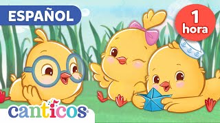 Los Pollitos Dicen Pio Pio + Mas Canciones Infantiles y Bilingual Nursery Rhymes | Canticos