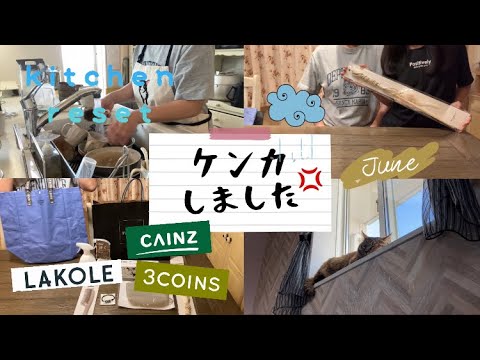 【小学生中学生ママ】ケンカした日💧気分転換に1人でプラプラお買い物②キッチンリセット/LAKOLE/3coins/カインズ