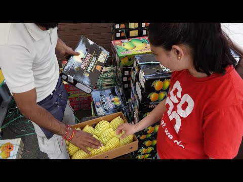 The Best Indian Kesar Mangos in London | Sweeter than Alphonso Mangoes | + How to Cut a Indian Mango