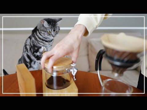 新居でコーヒーを淹れる時も愛猫のチェックに余念がありませんw【猫とおうちごはん】