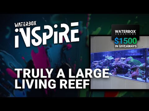 This is Truly a Living Reef - INSPIRE Day 3