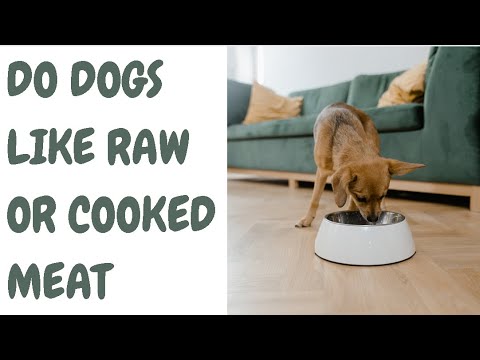 Do Dogs Like Raw Or Cooked Meat