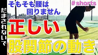 【ゴルフ】ダウンスイングでの正しい腰の回し方？？腰ではなく股関節の使い方を意識するだけで動きが激変！！飛距離が伸びる下半身リードが手に入ります！　#shorts