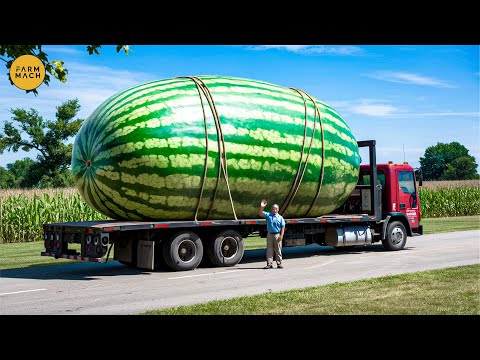 Most Unbelievable Heavy Farming Machinery That Are At Another Level