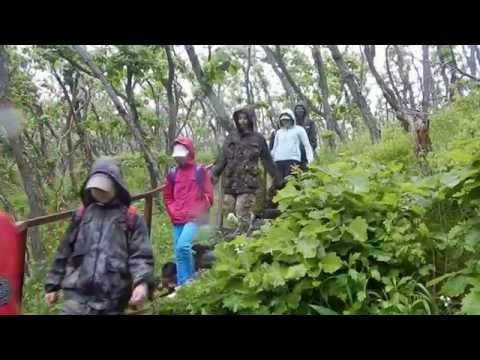 The Sikhote-Alin Biosphere Nature Reserve. Russia.