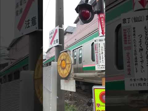 撮り鉄仙台　　　　　　　　　#japan #news #shortsvideo #world #癒し #train