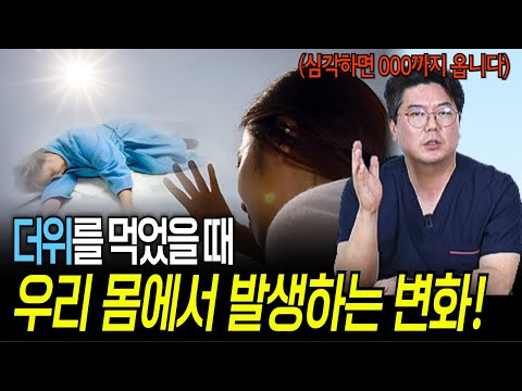 더위를 먹었을 때 우리 몸은 어떤 변화가 발생할까? | 의학 전문채널