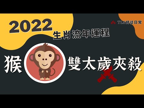 2022 生肖運勢懶人包【猴】雙太歲什麼意思！？｜無恩三刑讓猴子成為年度苦主？那些年生的要特別注意健康？最忌諱的行為？健康能較弱的部位？點燈化解建議🌟星宿神煞帶來的能量牽引