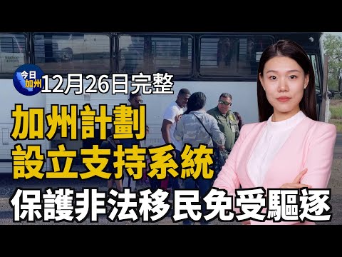 保護非法移民免受驅逐 加州計劃設立支持系統｜疑真菌污染 愛爾康旗下眼藥水緊急召回｜貓咪染禽流感死亡 全美十二州貓糧被緊急召回｜通貨膨脹業績不佳 美國多家企業破產或關門｜20241226今日加州