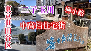 東京23区　二子玉川駅周辺散歩　中高档住宅街