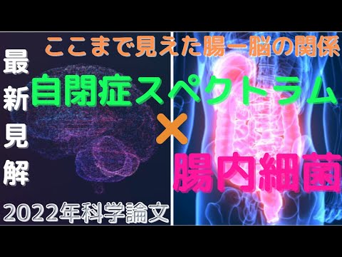 【2022年最新見解】腸内細菌が自閉症スペクトラム(ASD)の治療ターゲット？脳と腸の密接な関係