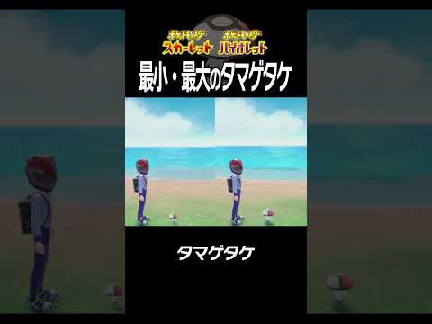 【大きさ比較】タマゲタケ編【ポケモンSV】#Shorts