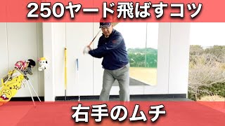 ドライバーを250ヤード飛ばすコツは”右手のムチ”【シニアゴルファーでも非力なゴルファーでも飛びます】