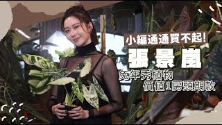 專訪｜張景嵐掉入觀葉植物坑　愛到改裝浴室變溫室｜壹蘋新聞網