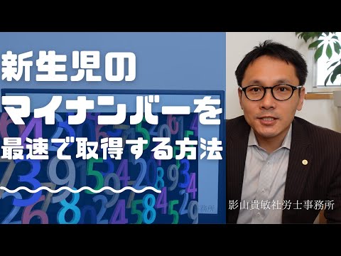 新生児のマイナンバーを最速で取得する方法　１日でも早く保険証を作りたい！