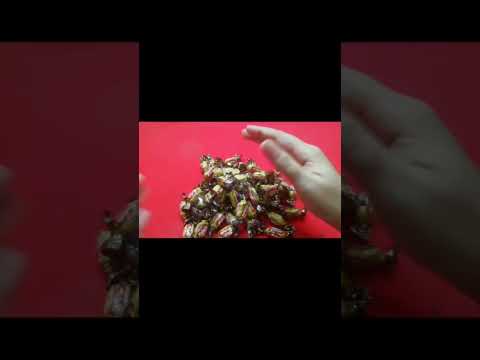 Unboxing Candies for you lovely kidz😍😍#shorts #miniatures #viral #food #small