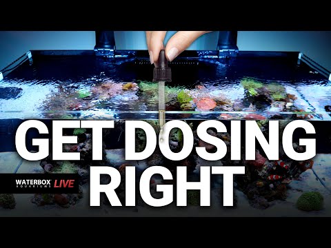 The Waterbox Method to Dosing Your Saltwater Aquarium. Episode #193