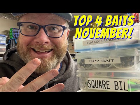 Top 4 Baits for November Bass Fishing!