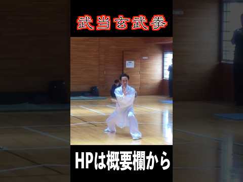 武当玄武拳#身体操作 #shorts#武当玄武拳#身体操作#石垣正樹