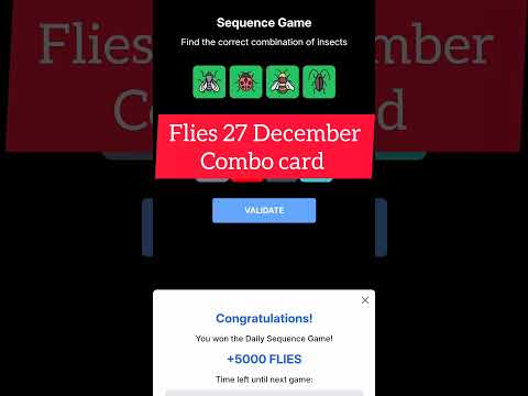 Flies 27 December combo card