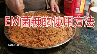 EM菌糠的使用方法和密封桶的制作  How to use EM fungus bran/DIY密封堆肥桶/bokashi 堆肥/庭院种植篇 #22-13/2022-02-1