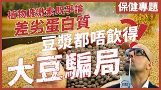 [不是陰謀論]大豆蛋白質含量高但冇用？｜豆漿豆奶會阻礙吸引營養！｜大豆製品超詳細分析！一招分辯食唔食得？｜蛋白質都有分好多種！｜中文字幕