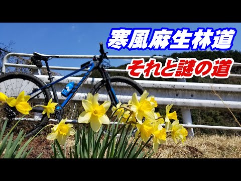 マウンテンバイク初心者　寒風麻生林道