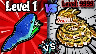 Snake Clash!  Level 1 | Level 9999 Max Level Epic Snake Gameplay #39