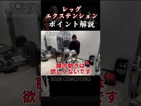 【SGIR】レッグエクステンションポイント解説