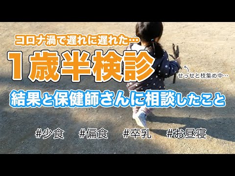 【1歳半検診】結果と保健師さんに相談した事♪