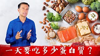 每天要吃多少蛋白質?減肥秘訣,柏格醫生 Dr Berg