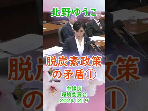 参政党【北野ゆうこ】衆議院環境委員会20241219【脱炭素政策の矛盾①】