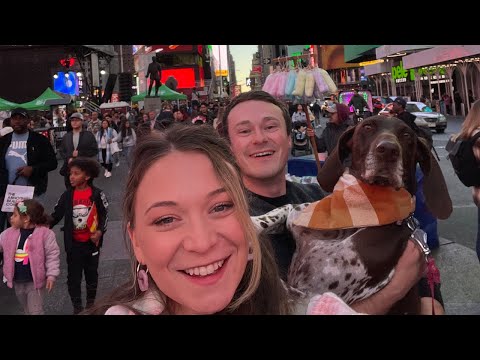 Roadtrip Across America with our German Shorthaired Pointer: Part 3 (New York City)