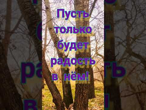 Доброе утро! Хорошего настроения вам, друзья!#доброеутро #доброгоутра