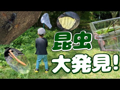 夏だ！虫取り大好き！捕まえた虫は、なんと...○○匹！！！