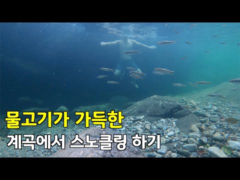 [수심 깊은, 3.5M] 계곡에 생긴 싱크홀 때문에 와류가 센 계곡