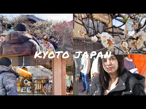 🇯🇵 Kyoto japan | 🌷ජපානයේ ලස්සන දවසක් 🌷| a day in my life 🕊️