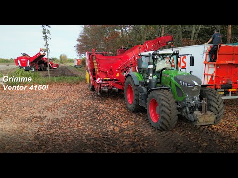 Kartoffelernte 2022 (Kartoffelroden) mit einem Grimme Ventor 4150 & Grimme EVO 290 mit Fendt 933