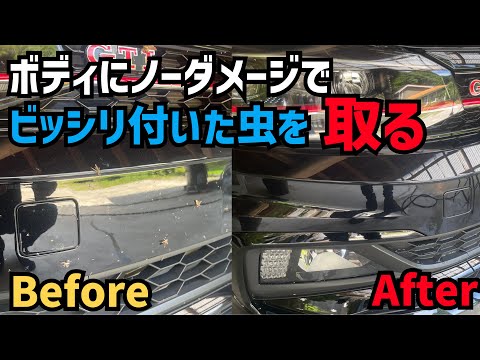 【コーティング車のメンテナンス】虫汚れはこうやれば怖くない！