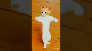 billi ka dance Jo Mujhe Pyar Karega