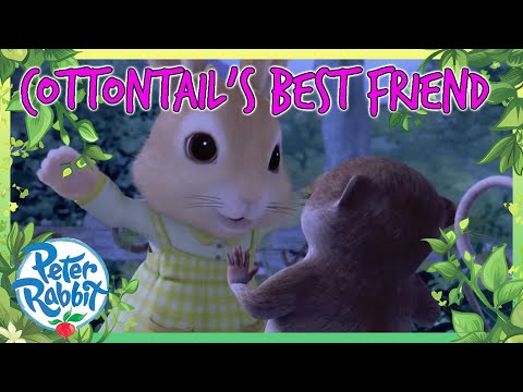 @OfficialPeterRabbit - 🐰❤️ Cottontail's New Best Friend ❤️🐰 | Cartoons for Kids