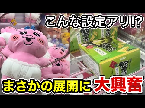 【クレーンゲーム】こんな設定アリなのか？倉庫系ゲーセンで大興奮！【ベネクス大和】【ベネクス川越】