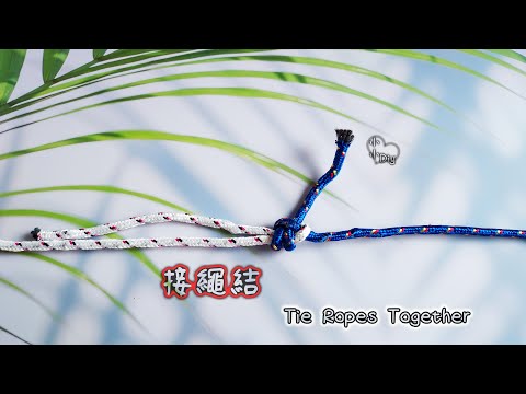 Tie Ropes Together - 接繩結 - 繩結 - 結び目 - 매듭