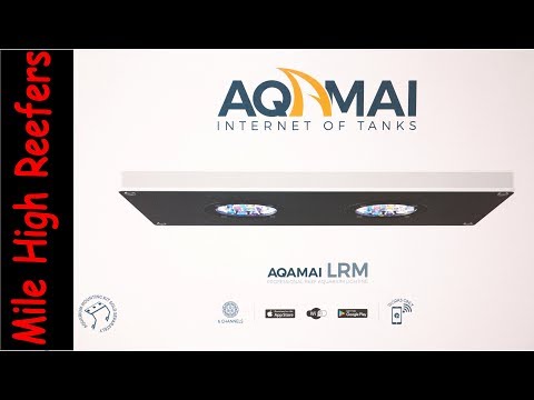 AQAMAI LRM Light Review