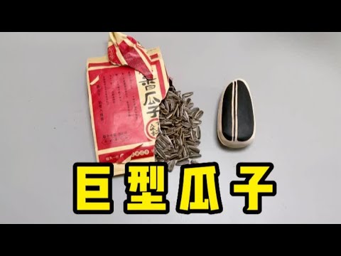 揭秘：瓜子里，真有巨型瓜子吗？帅小伙亲测！