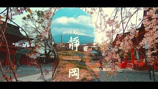 #靜岡 #櫻花 #富士山 #金龍旅遊【Traveling Vlog-Japan】日本靜岡充滿著櫻花與富士山的美景鄉鎮，竟然還可以搭蒸汽火車看櫻花