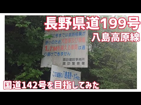 【ドライブ動画】長野県道199号 八島高原線　国道142号を目指してみた