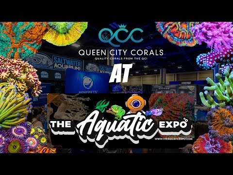 The Largest Coral Show In The Carolinas: The Aquatic Expo 2023!