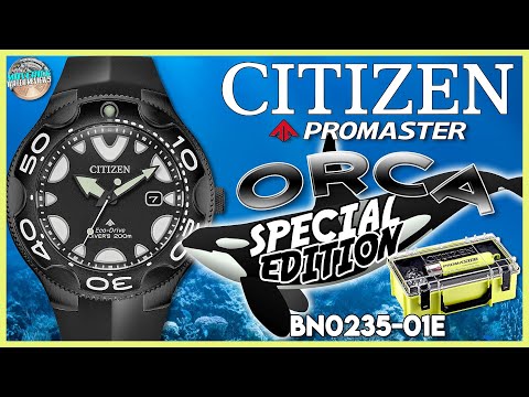 Black Ops Orca! | Citizen Promaster 200m Orca Special Edition w/Dive Torch BN0235-01E Unbox & Review