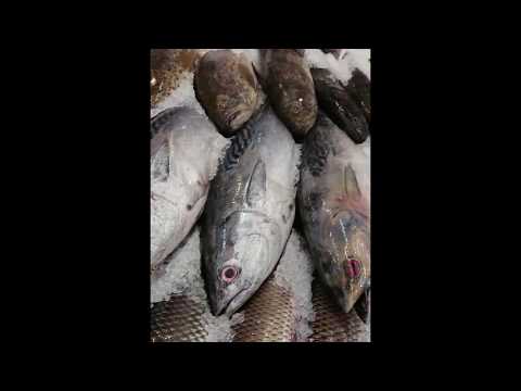 C33【1カンボジア進出調査記録2018】 TSUKIJI FISH MARKET Inc  by 市場系youtuber 疋田拓也～ព្រះរាជាណាចក្រកម្ពុជាPhnom Penh～